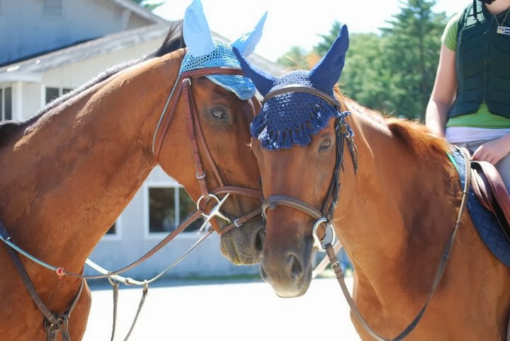 East Hill Farm Riding Academy