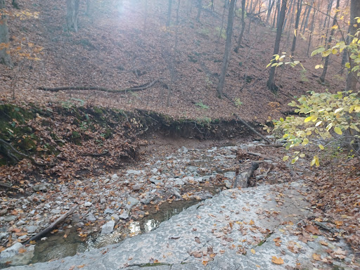 Johnson Trail - Thumbnail