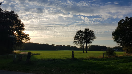 Mariakapel Schoolweg Beuningen - Thumbnail
