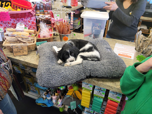 Healthy Pet Products - Thumbnail