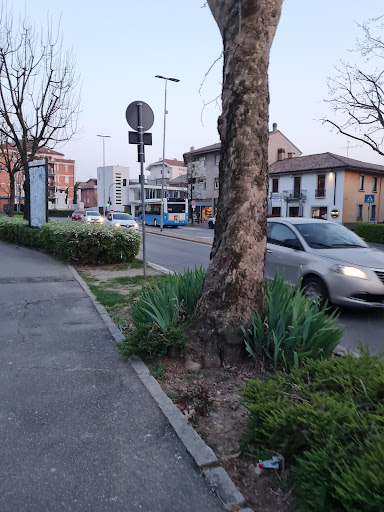 Azzanella - Visual
