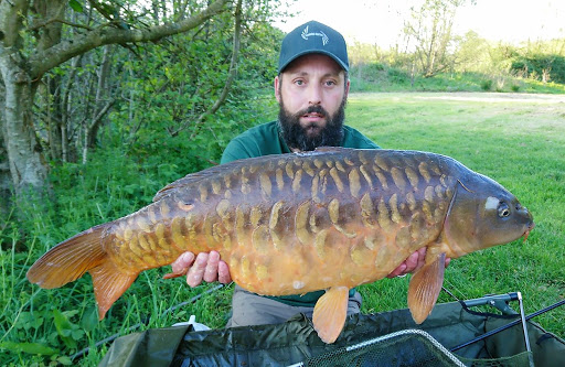 STAGG BAITS - Thumbnail