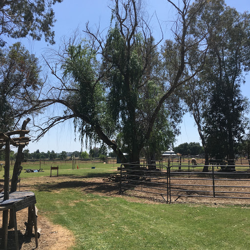 Winward Natural Equine Center - Thumbnail
