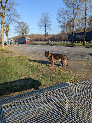 Rastplatz Hohe Heide - Thumbnail