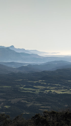 Collada Palomeros
