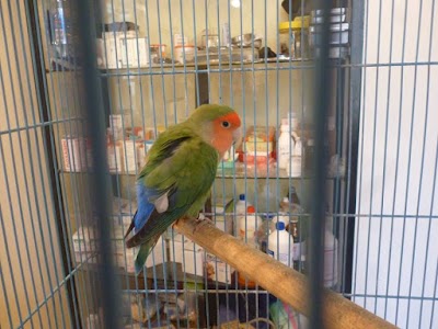 Photos of Del Sol Veterinaria-Vetexoticos (suc Avellaneda)
