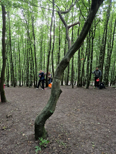 Sankt Hans Hills - Thumbnail