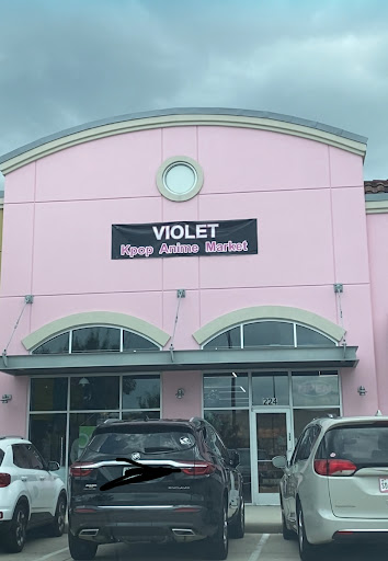 Violet Kpop - Visual