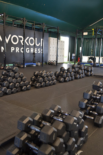 Workout in Progress - Visual