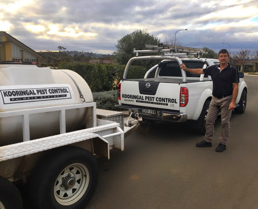 Kooringal Pest Control - Thumbnail