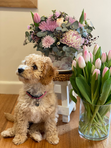 Olicartia Flowers Gifts - Thumbnail