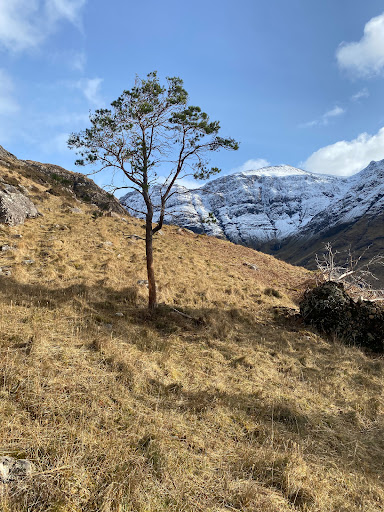 Clachaig Gully - Thumbnail