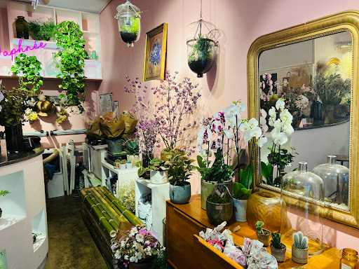 Daphnée Fleuriste - Fleuriste Paris 7 - Thumbnail