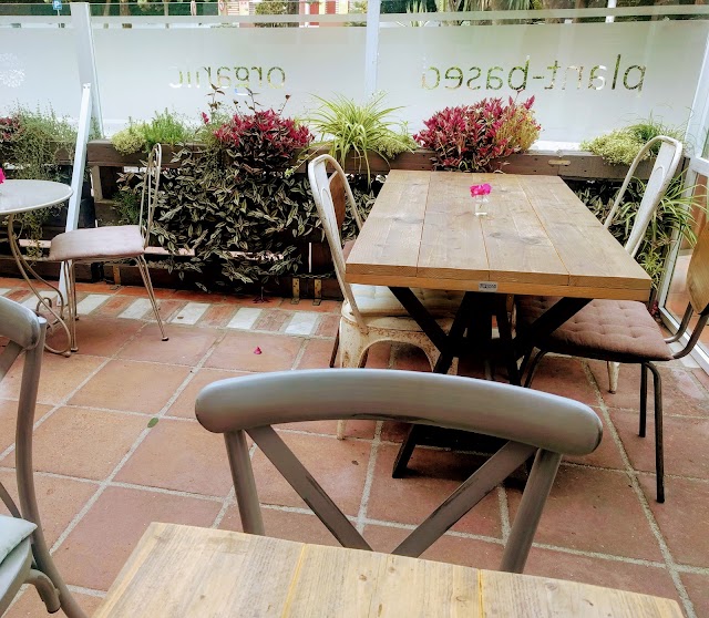 Gioia Plant-Based Cuisine