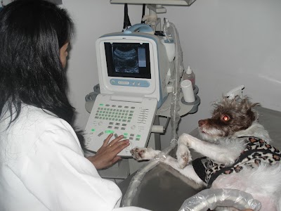 Photos of CTI VETERINARY CLINIC VETERINARY RUNNING 24 HOURS