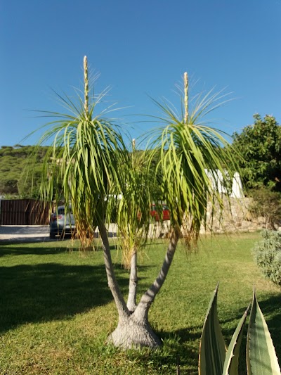 Photos of Bungalow Agavehaus