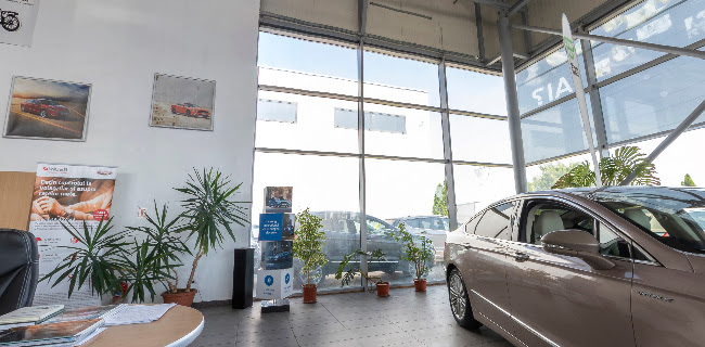Ford Carbenta Com Oradea - Service auto