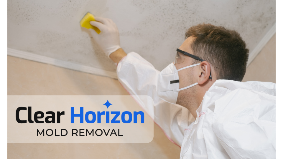 Clear Horizon Mold Removal photo
