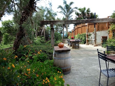 Photos of Vin Alto