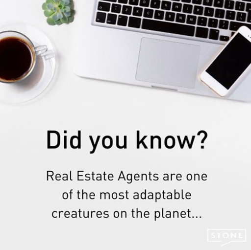 Debra Ford - Stone Real Estate - Thumbnail