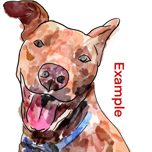 PetPortraitsByEvey - Thumbnail