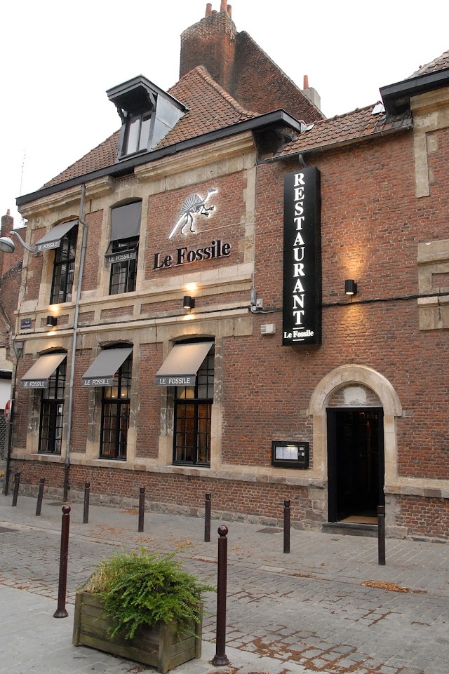 Le Fossile Lille