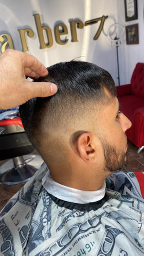 Barberia valencia