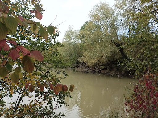 Ziegelweiher - Thumbnail