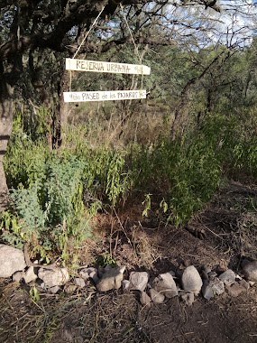 Paseo de los Pájaros, Author: Sergio Borghetti