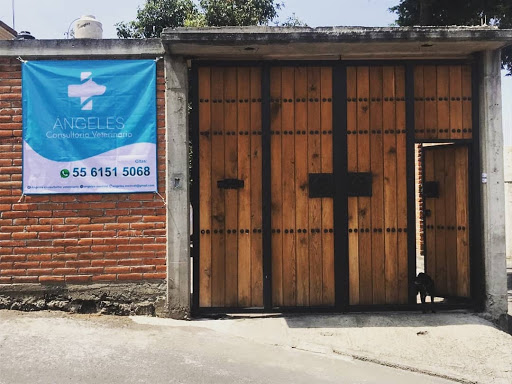 Ángeles Consultorio Veterinario