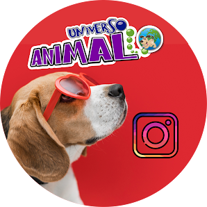 Fotografía de CENTRO VETERINARIO UNIVERSO ANIMAL Del propietario