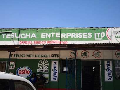 TESUCHA ENTERPRISE LIMITED