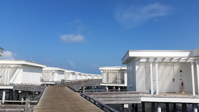 Amilla Fushi