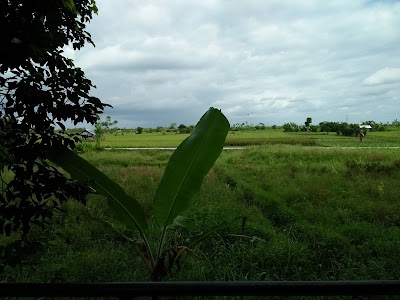 Photos of Warung Subak Sedang