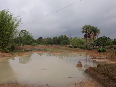 Photos of Kazi Bari Fishing Project & Farm