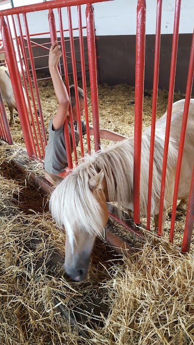 Photos of Horsefarm Meura