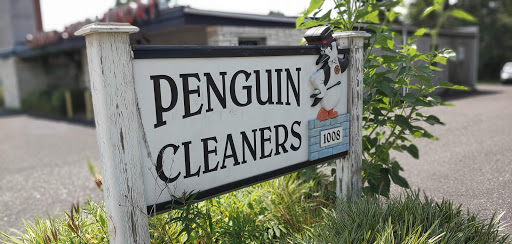 Penguin Cleaners - Thumbnail