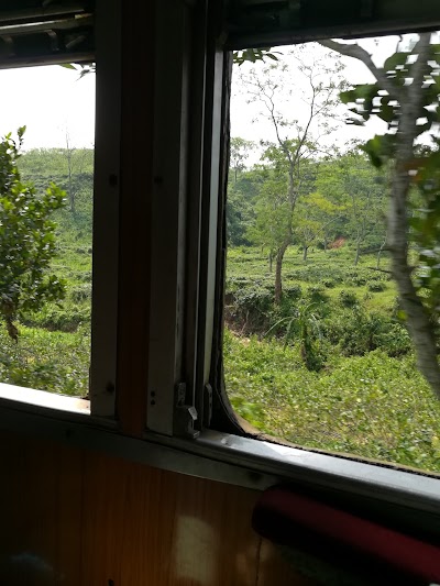 Photos of Tea Heaven Resort