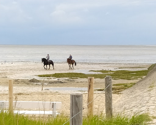 Hundestrand Cuxhaven Sahlenburg Logo