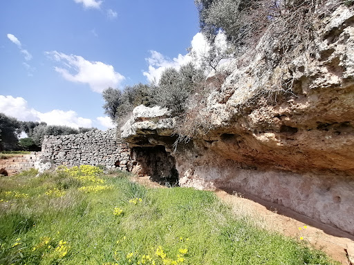 Tour e degustazione olio Evo - Masseria Pezze d'Aglio - Frantoio Ipogeo XIII Sec. - Thumbnail