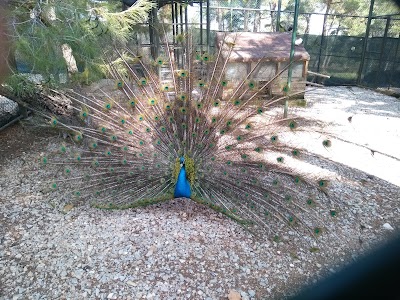 Usak Zoo