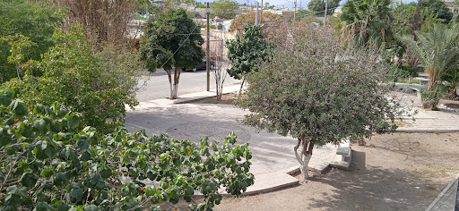 bomberos Park - Visual