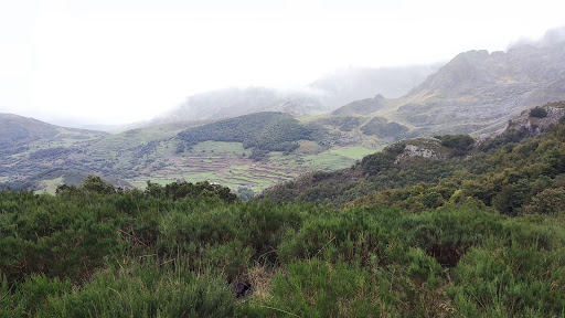 Peña Hoguera - Visual