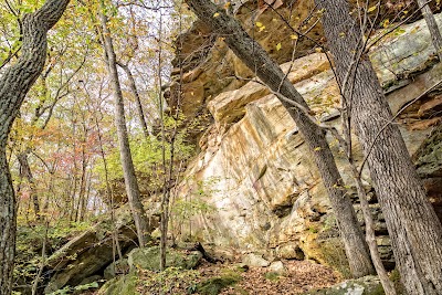 Piney Creek Ravine Nature Preserve