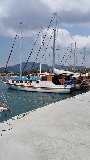 ALİ DAYI-1 DAILY BOAT TRIP