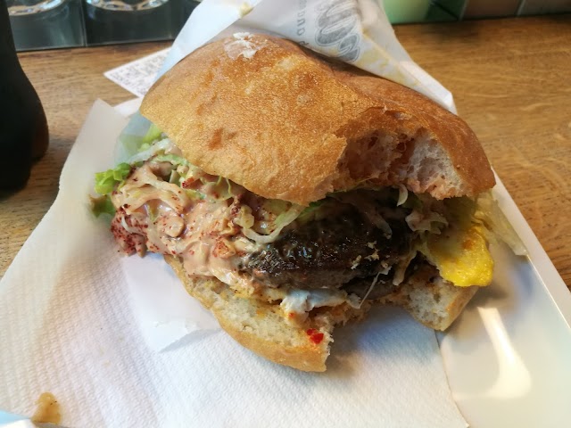 Ayverdi's