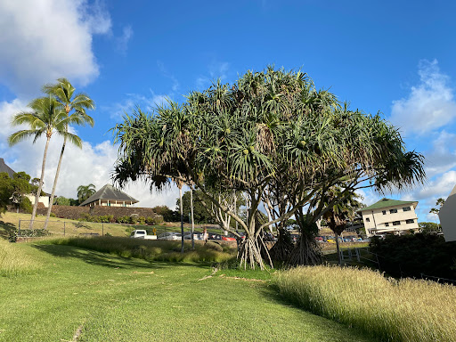 Kamehameha Schools Kapālama High School - Thumbnail