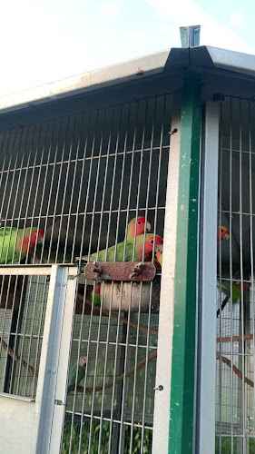 quintanossasenhoraauxiliadora.pt
