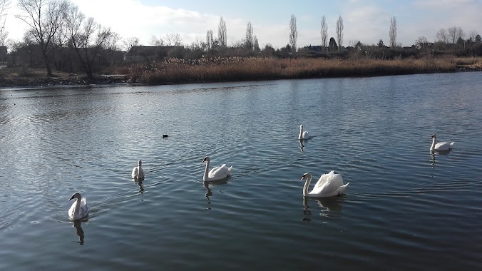 Piknik Park, Author: Erzsebet Somogyi