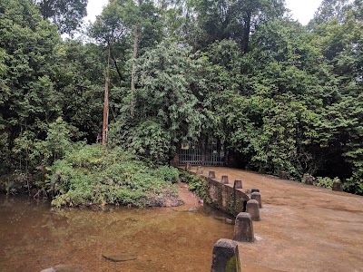 Photos of Kanneliya Eco Garden Hotel